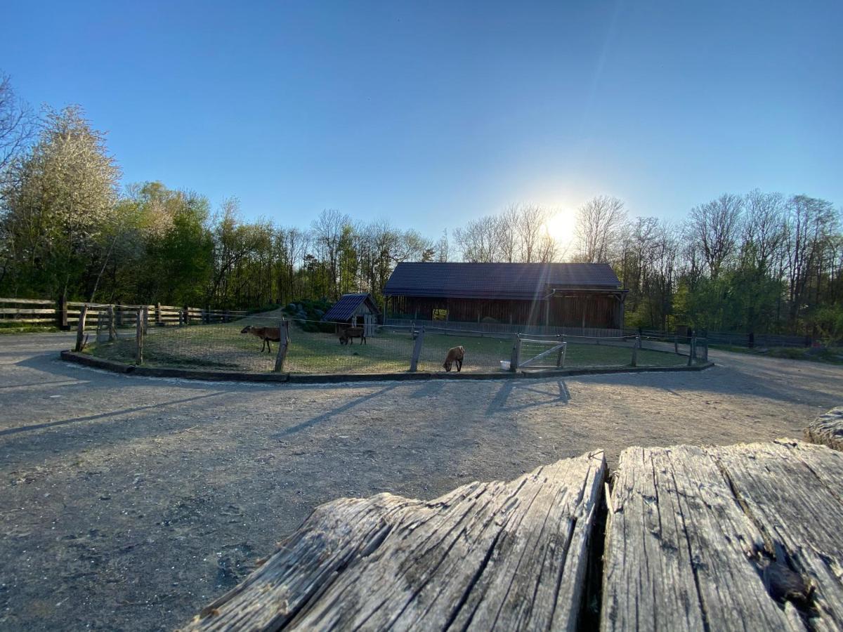 Dům splněných přání Praslavice Exterior foto