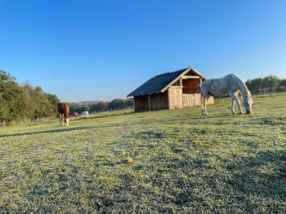 Dům splněných přání Praslavice Exterior foto